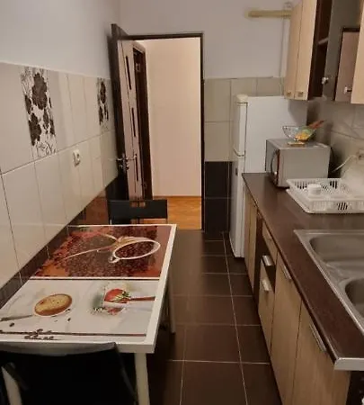 アパート Apartament Berceni ブカレスト